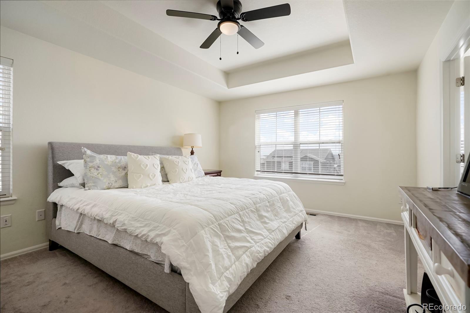 MLS Image #13 for 15062  chicago street,parker, Colorado