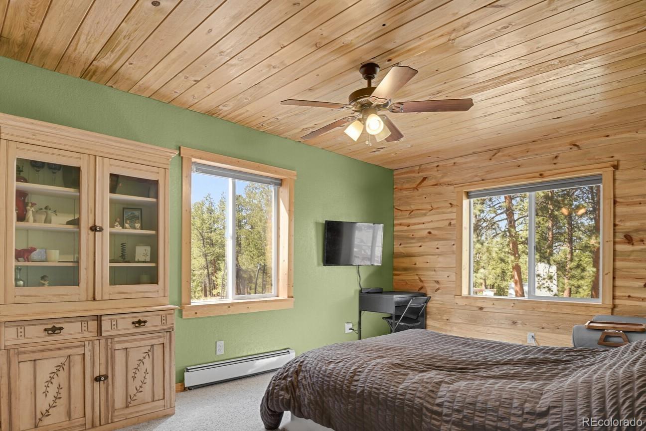 MLS Image #10 for 881  trail creek road,lake george, Colorado