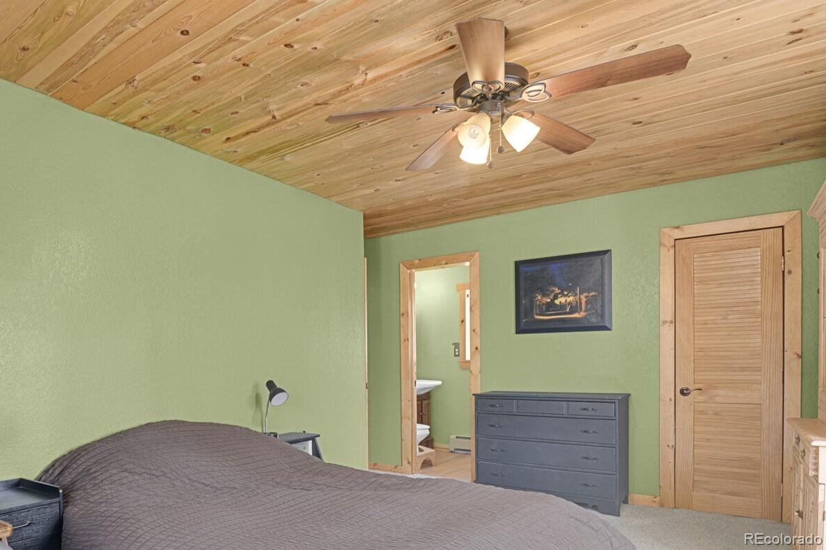 MLS Image #11 for 881  trail creek road,lake george, Colorado