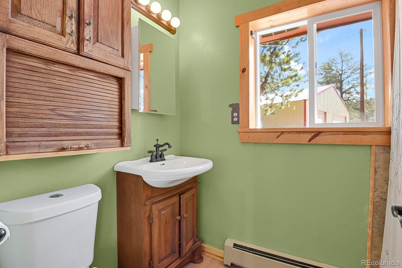 MLS Image #12 for 881  trail creek road,lake george, Colorado