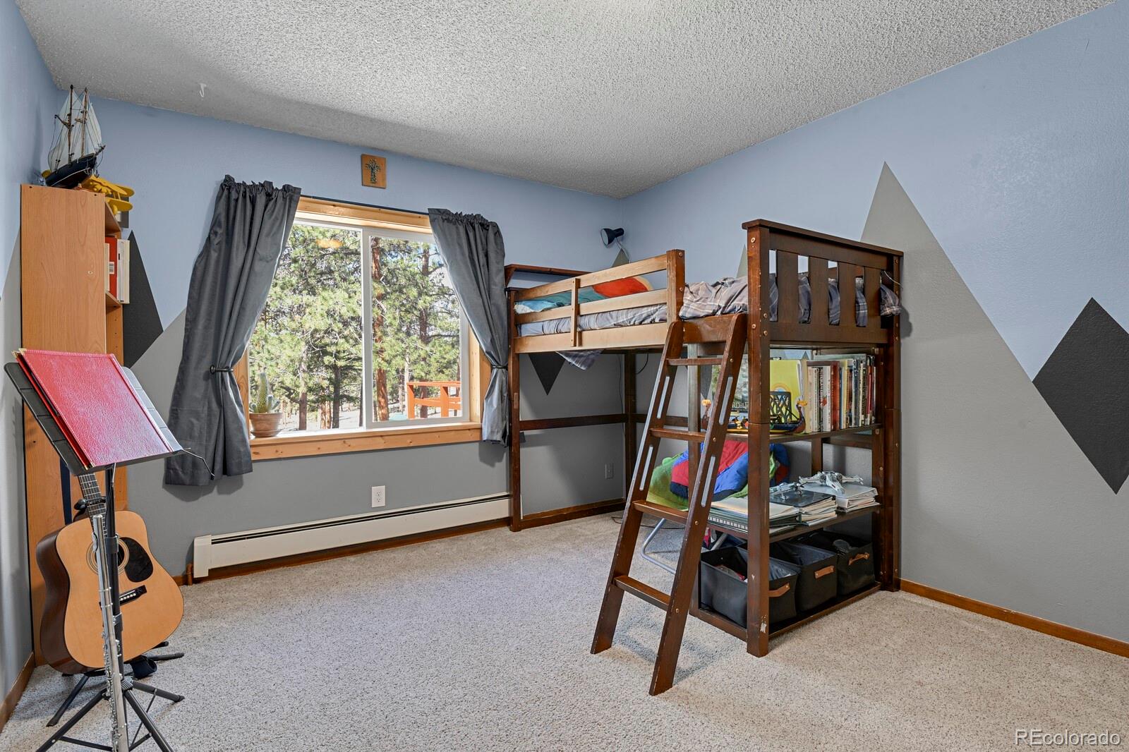 MLS Image #13 for 881  trail creek road,lake george, Colorado