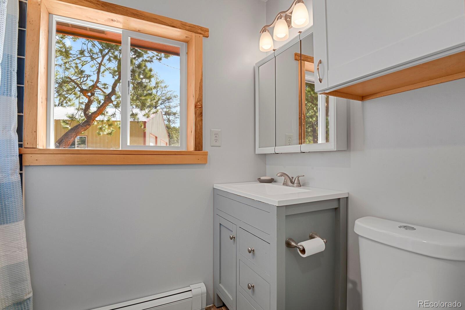 MLS Image #14 for 881  trail creek road,lake george, Colorado