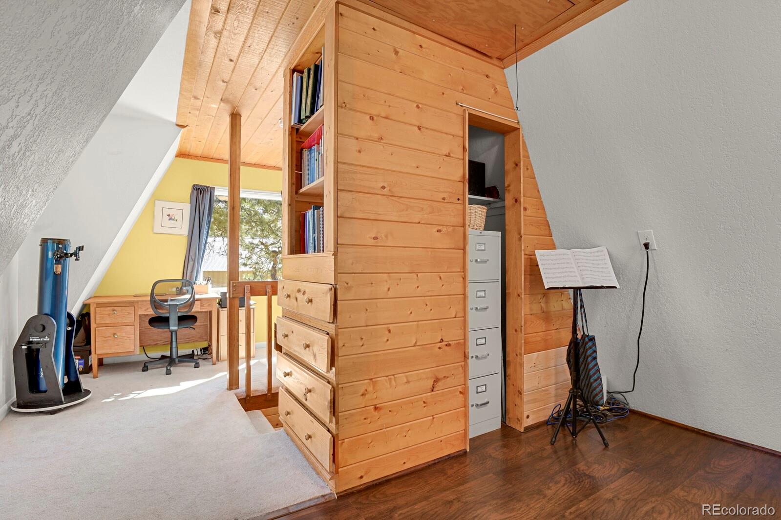 MLS Image #16 for 881  trail creek road,lake george, Colorado