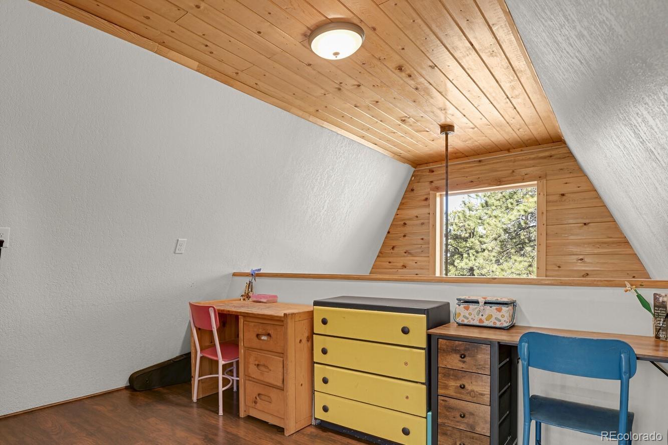 MLS Image #17 for 881  trail creek road,lake george, Colorado