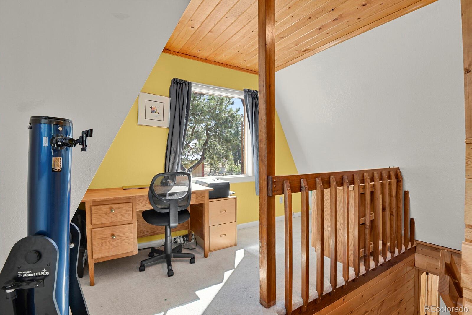MLS Image #18 for 881  trail creek road,lake george, Colorado