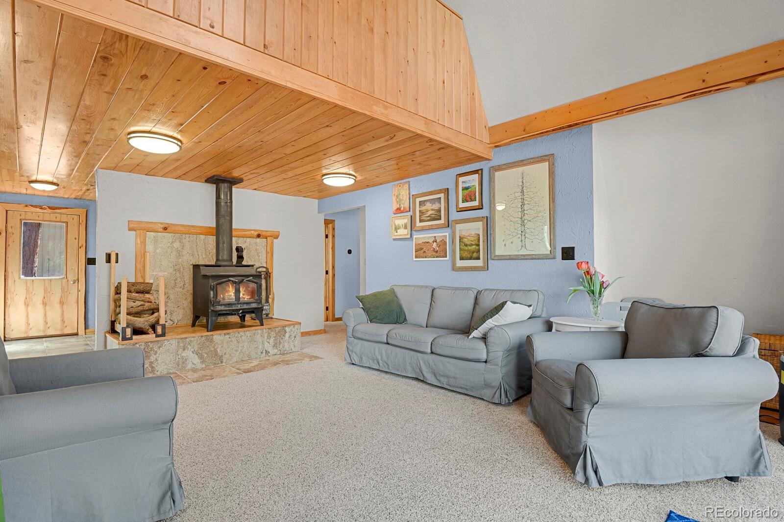 MLS Image #2 for 881  trail creek road,lake george, Colorado