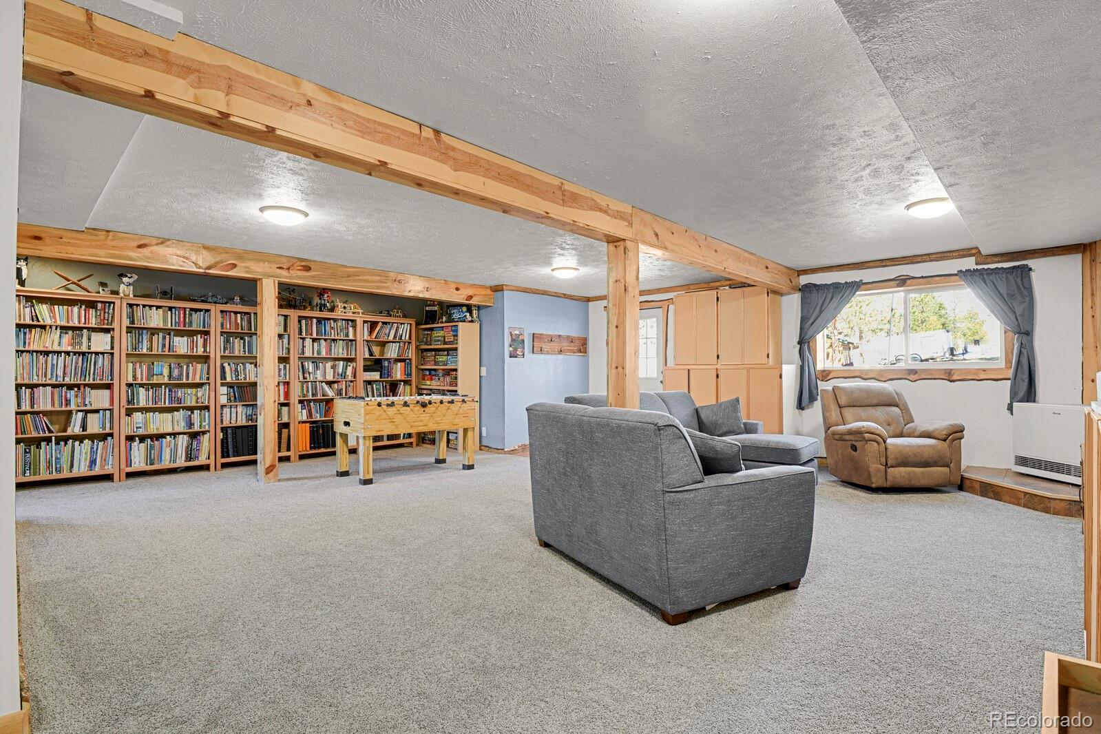 MLS Image #20 for 881  trail creek road,lake george, Colorado