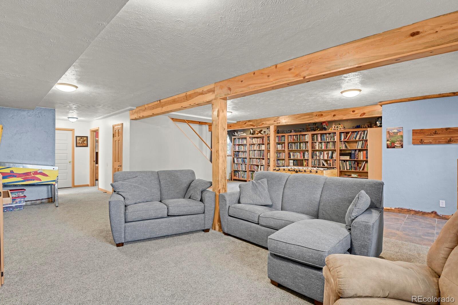 MLS Image #21 for 881  trail creek road,lake george, Colorado