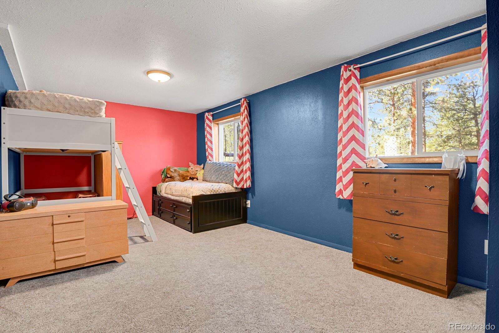 MLS Image #23 for 881  trail creek road,lake george, Colorado