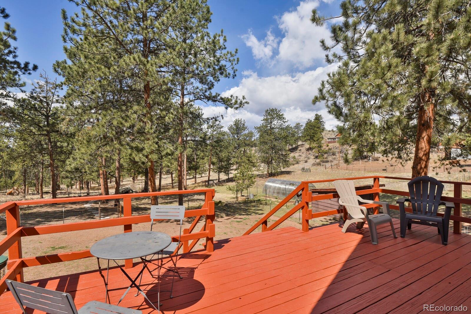 MLS Image #27 for 881  trail creek road,lake george, Colorado