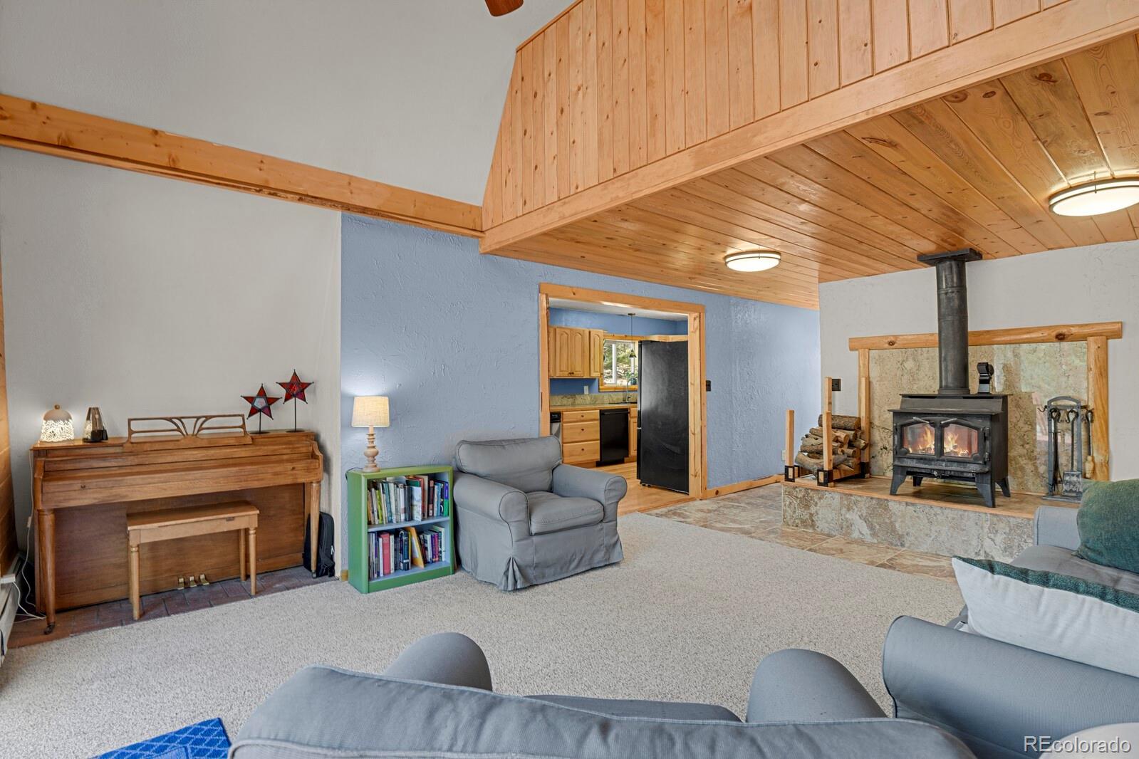 MLS Image #3 for 881  trail creek road,lake george, Colorado
