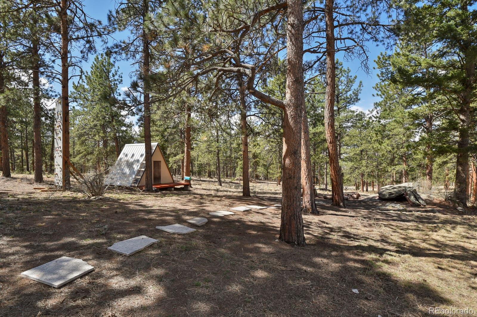 MLS Image #30 for 881  trail creek road,lake george, Colorado
