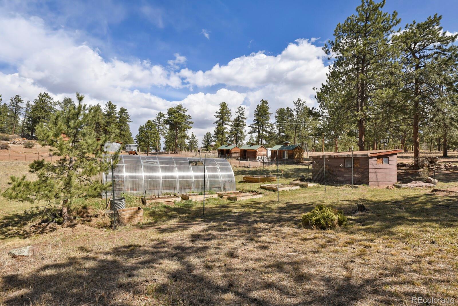 MLS Image #31 for 881  trail creek road,lake george, Colorado