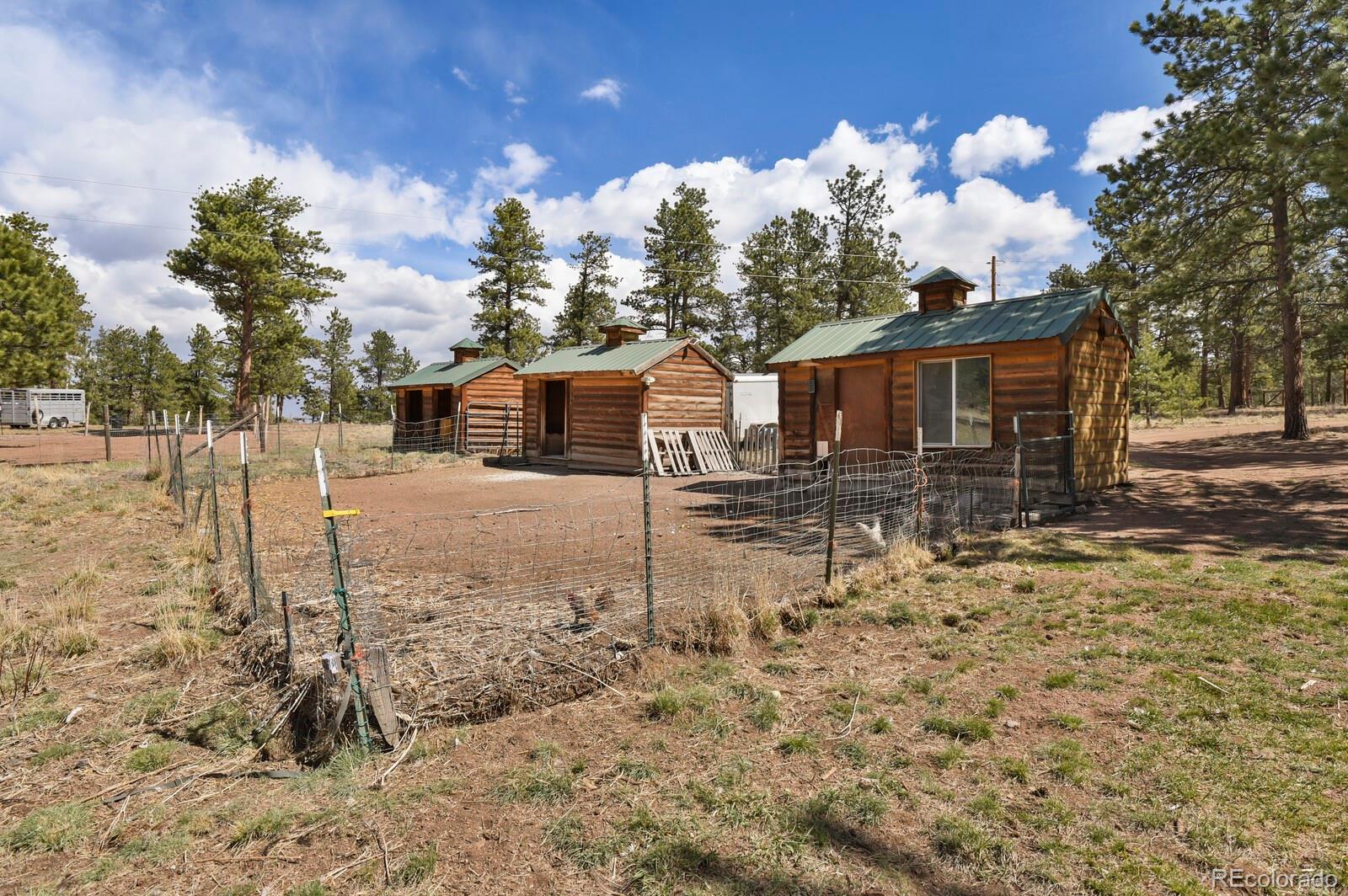 MLS Image #32 for 881  trail creek road,lake george, Colorado