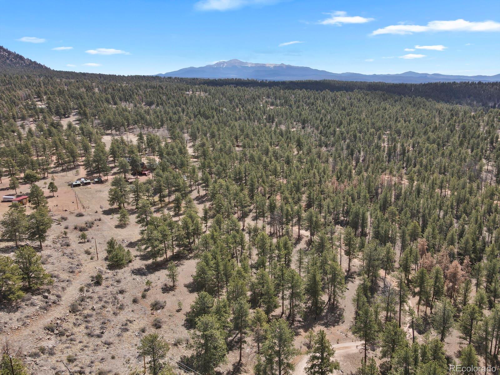 MLS Image #37 for 881  trail creek road,lake george, Colorado