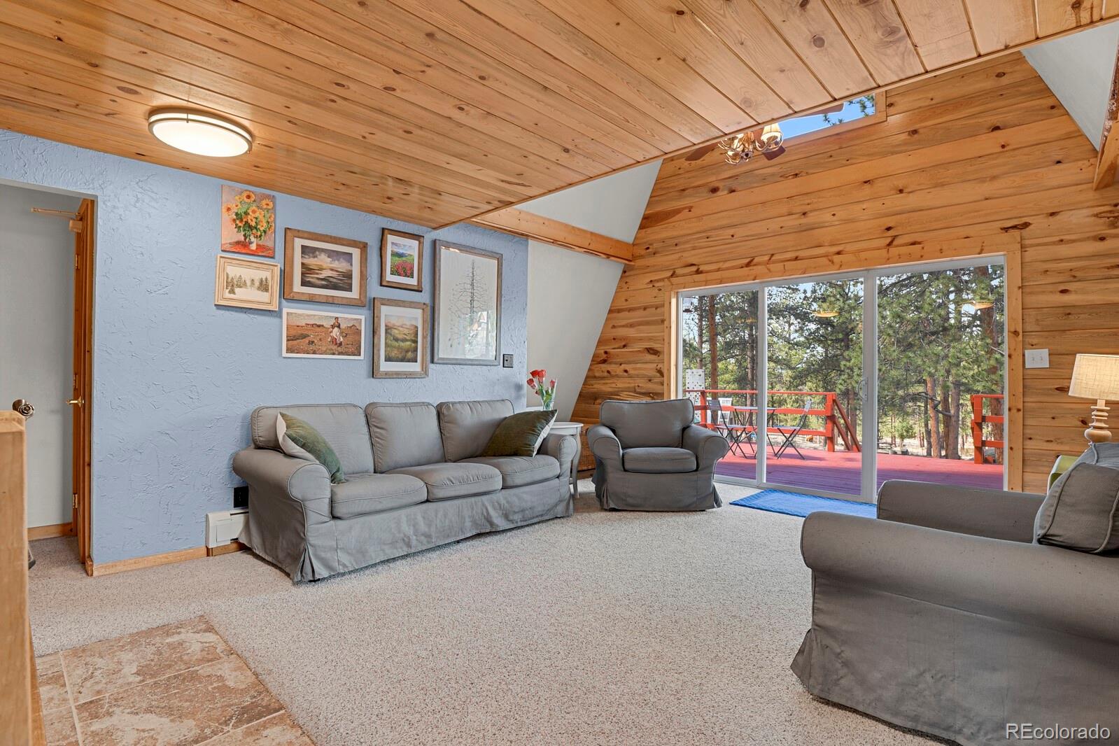 MLS Image #4 for 881  trail creek road,lake george, Colorado