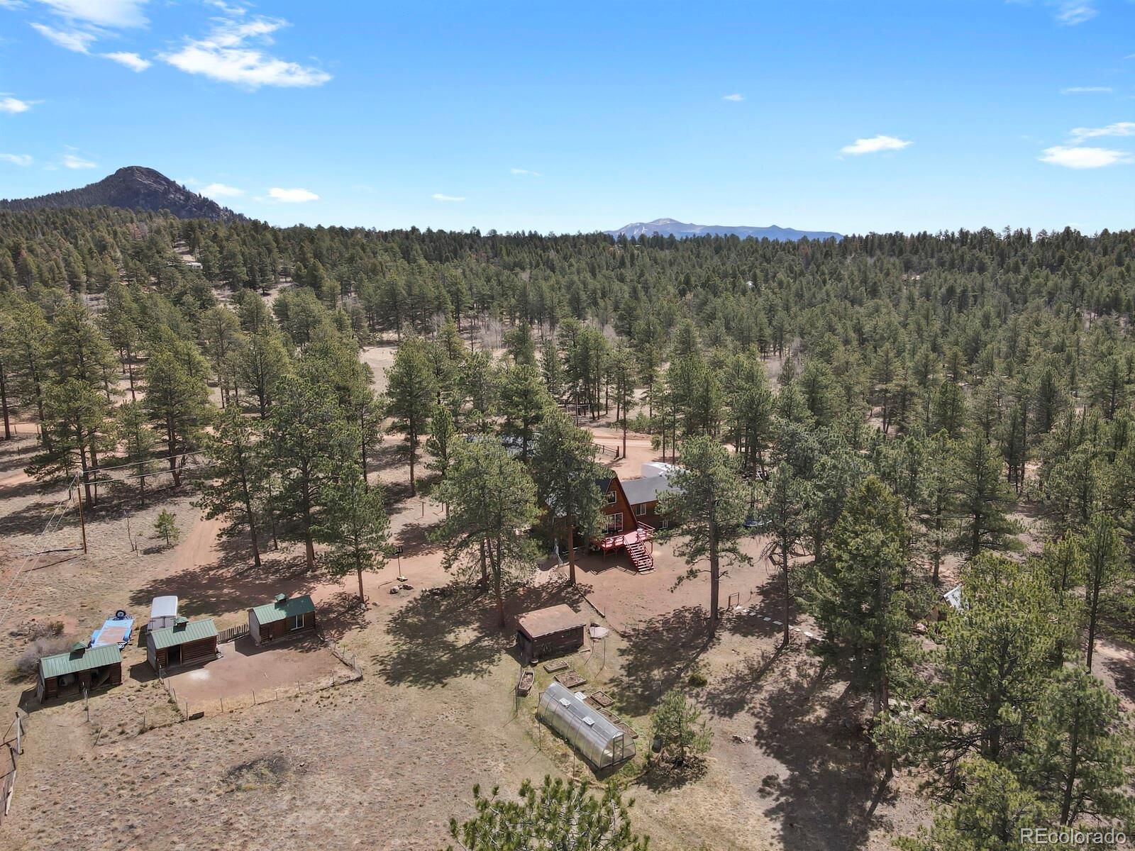 MLS Image #40 for 881  trail creek road,lake george, Colorado
