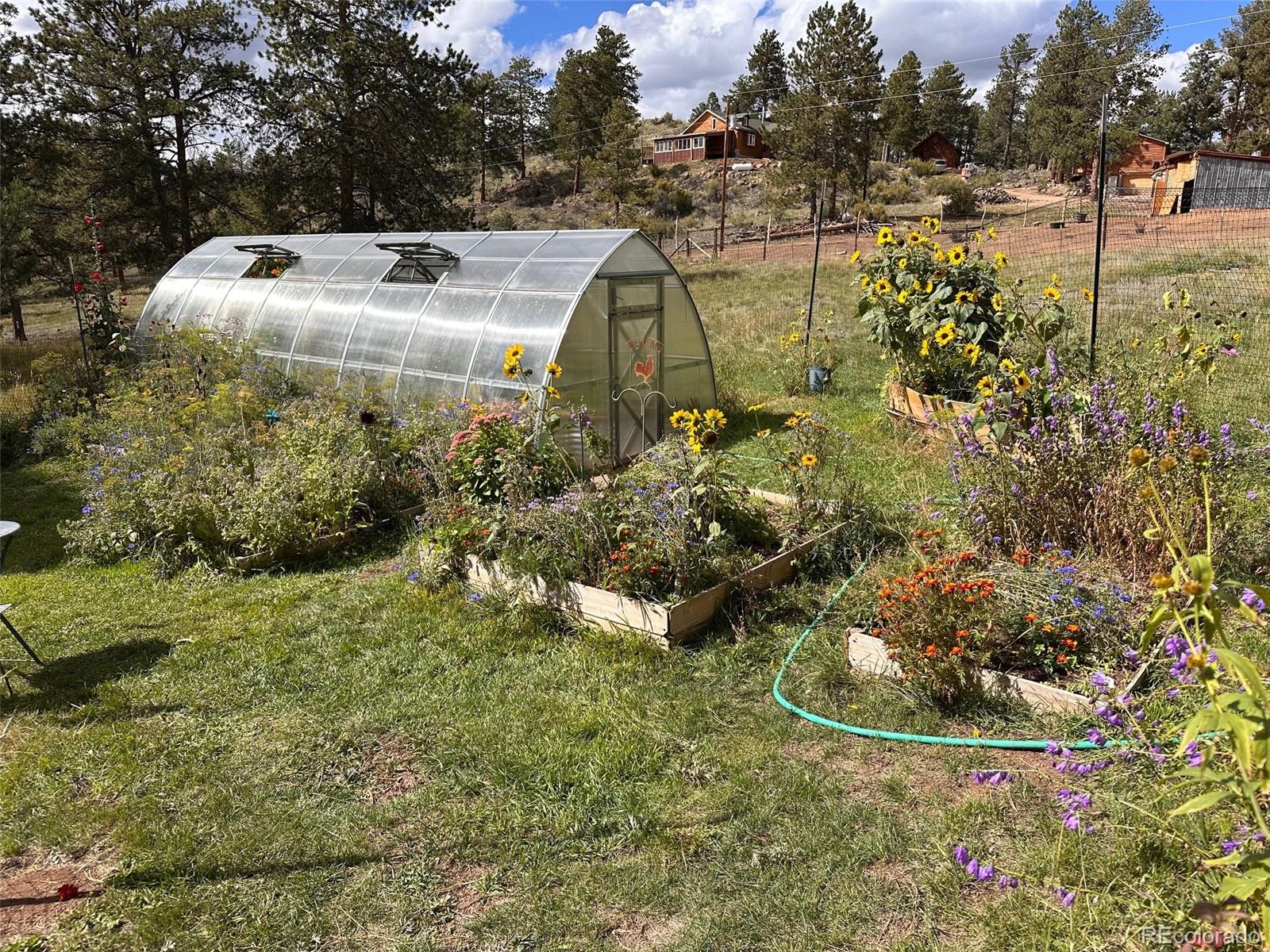 MLS Image #44 for 881  trail creek road,lake george, Colorado