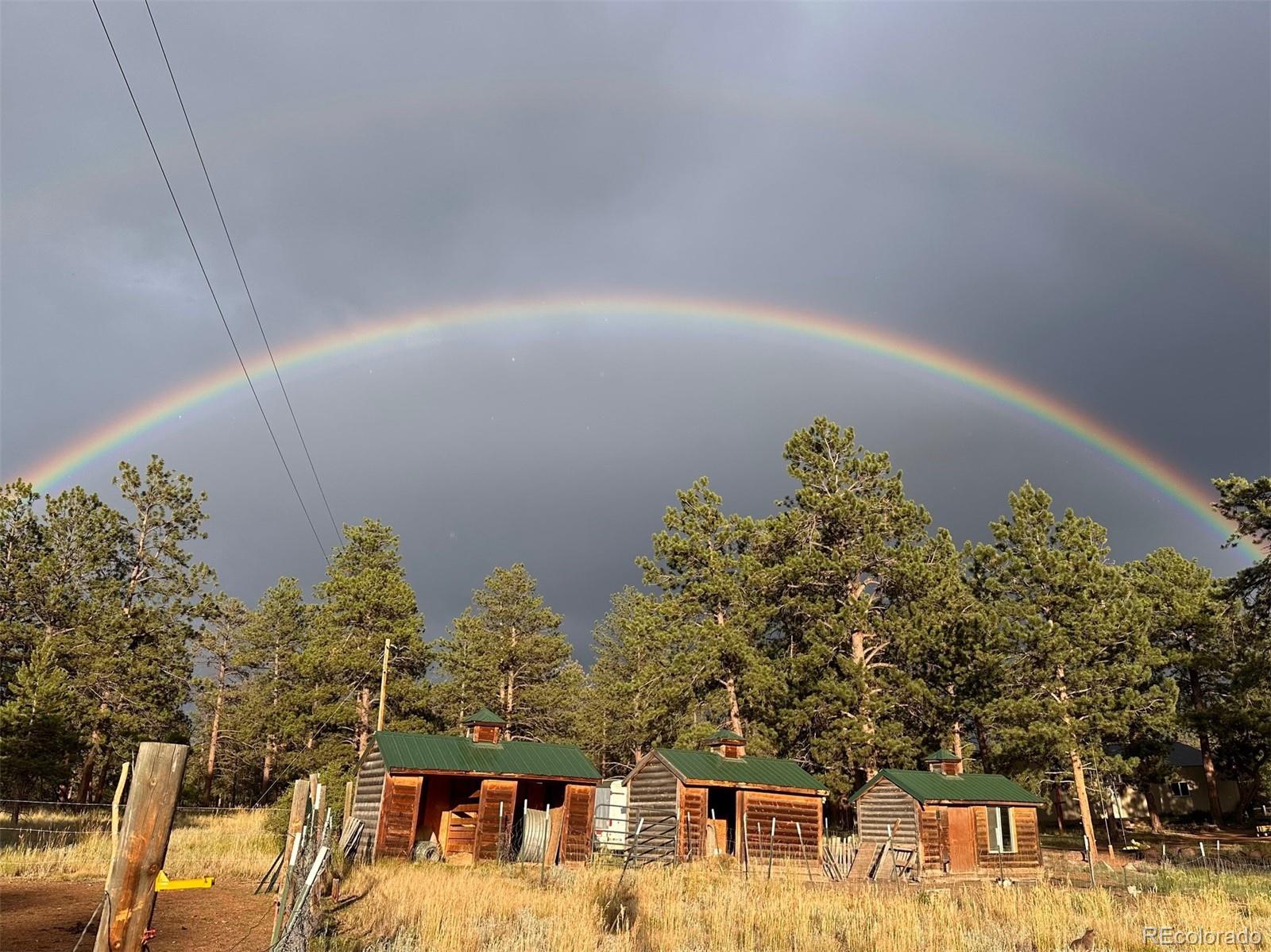 MLS Image #45 for 881  trail creek road,lake george, Colorado