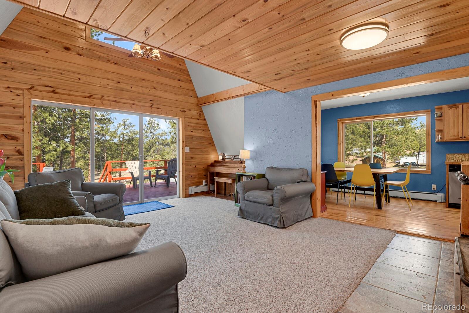 MLS Image #5 for 881  trail creek road,lake george, Colorado