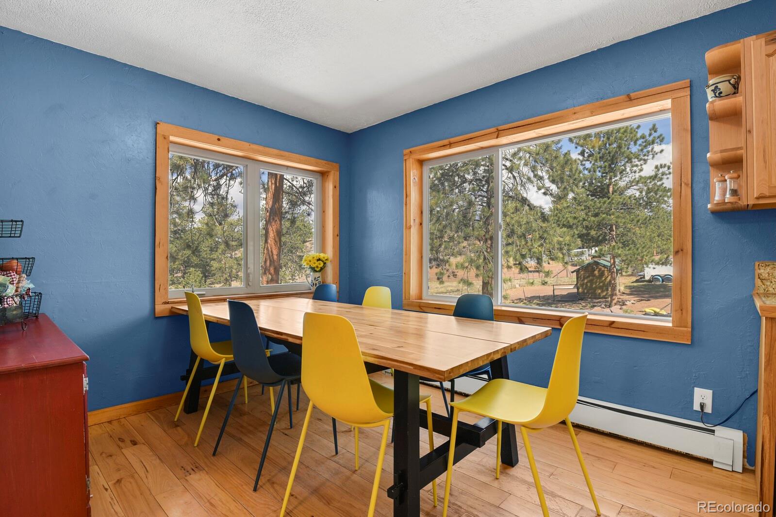 MLS Image #6 for 881  trail creek road,lake george, Colorado