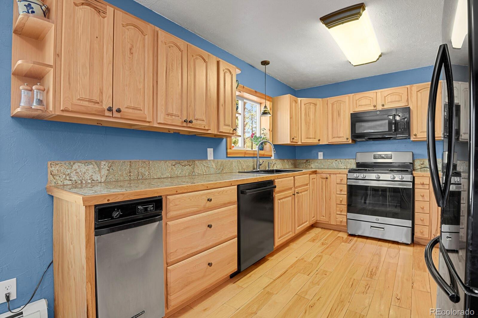 MLS Image #7 for 881  trail creek road,lake george, Colorado
