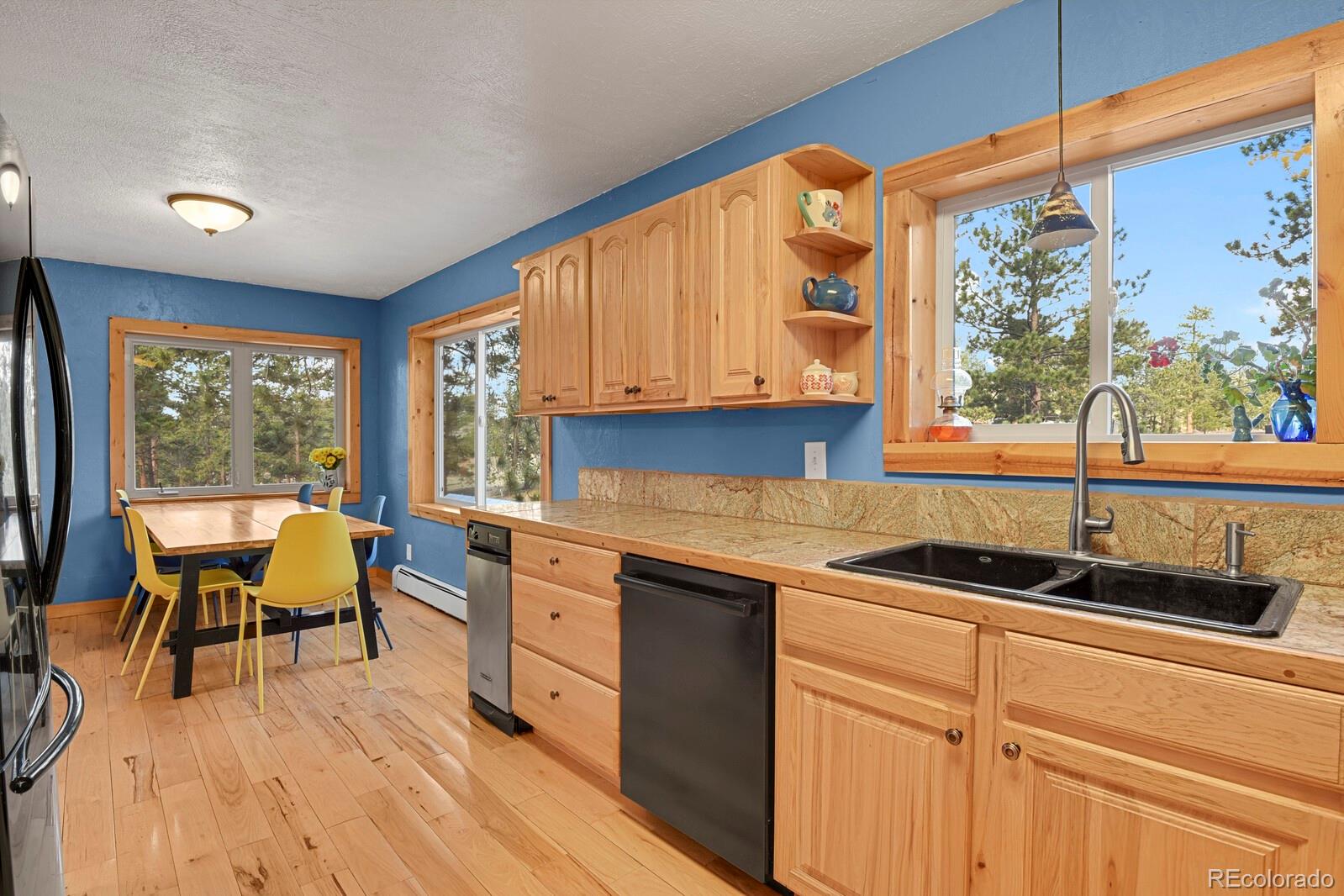 MLS Image #8 for 881  trail creek road,lake george, Colorado