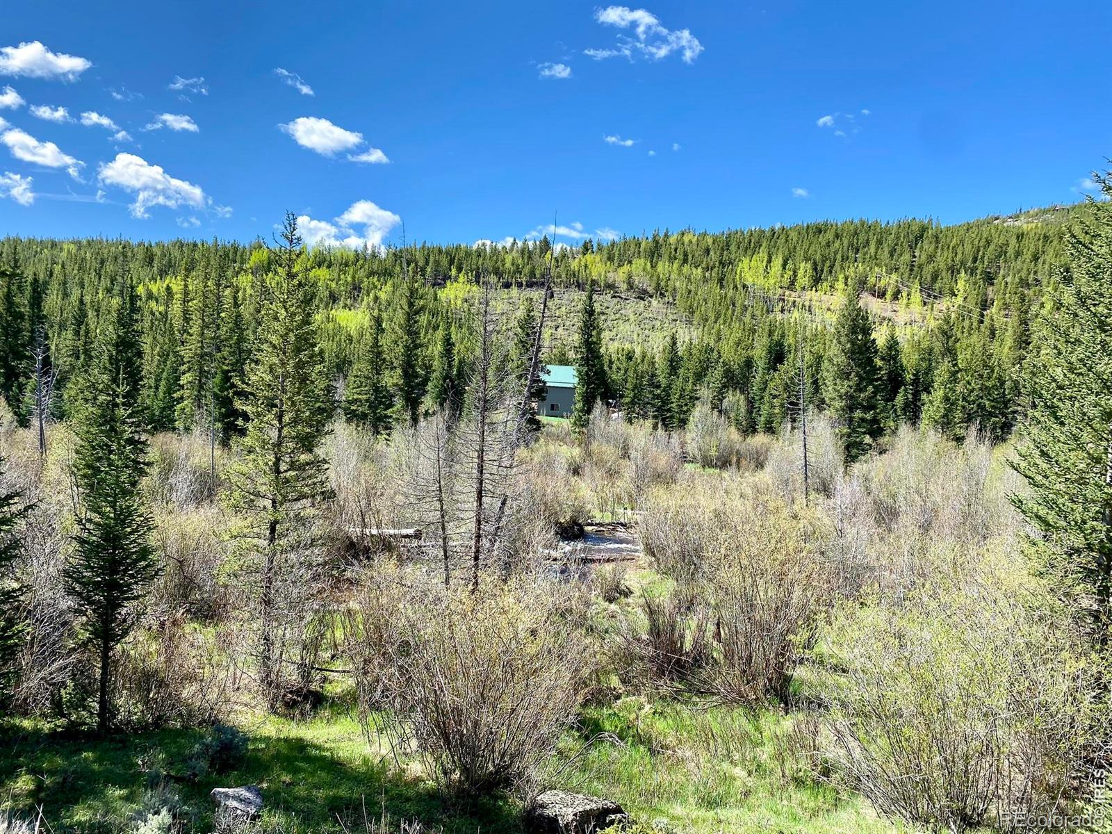 MLS Image #45 for 236  mescalero drive,red feather lakes, Colorado