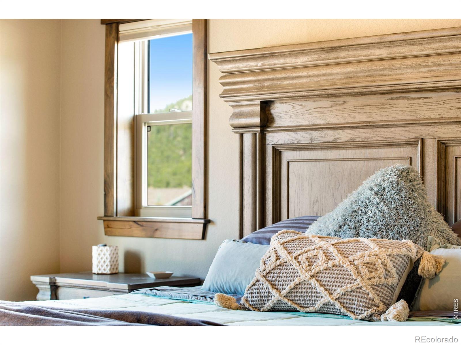 MLS Image #39 for 1728  continental peaks circle,estes park, Colorado