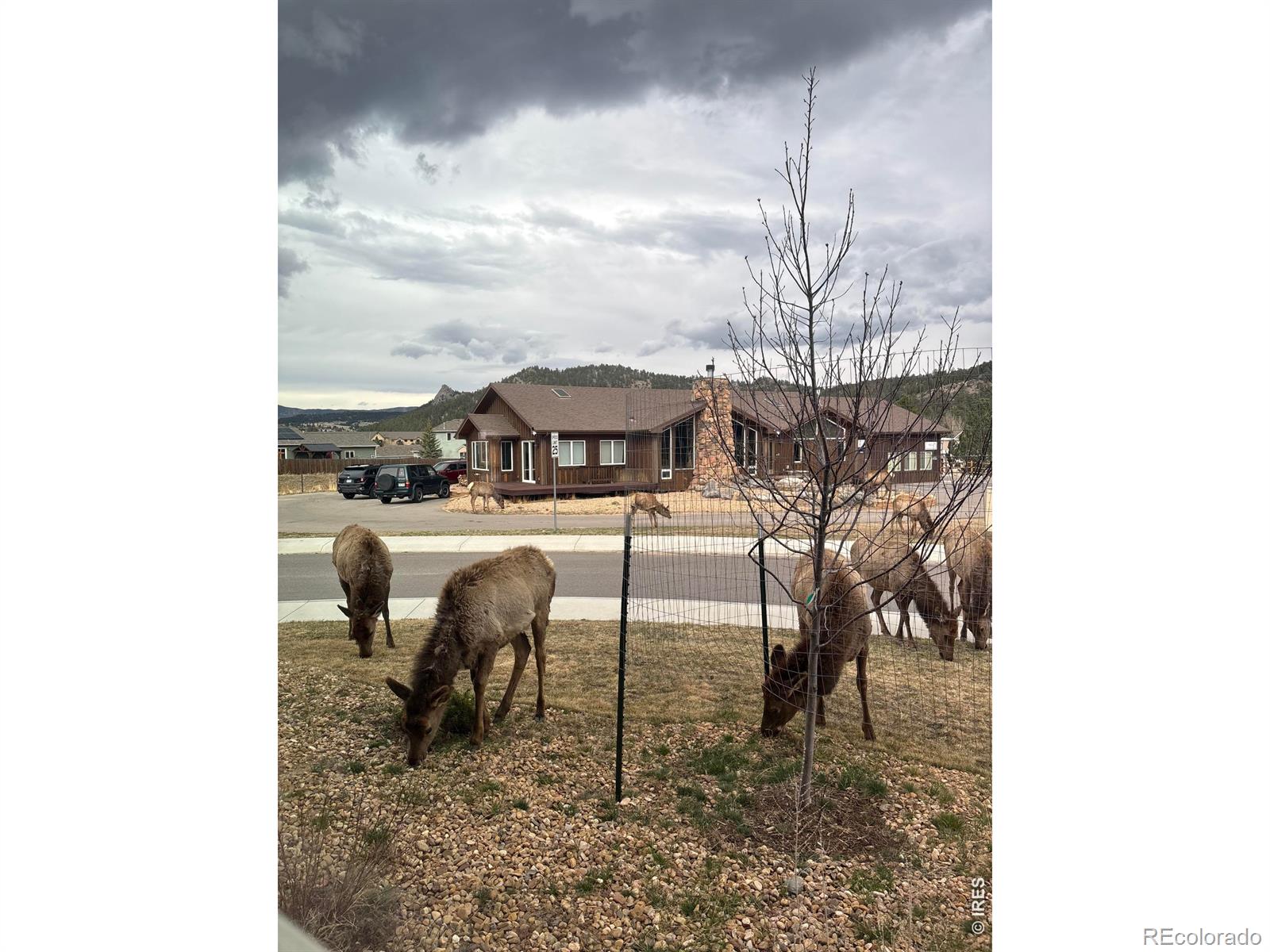 MLS Image #49 for 1728  continental peaks circle,estes park, Colorado