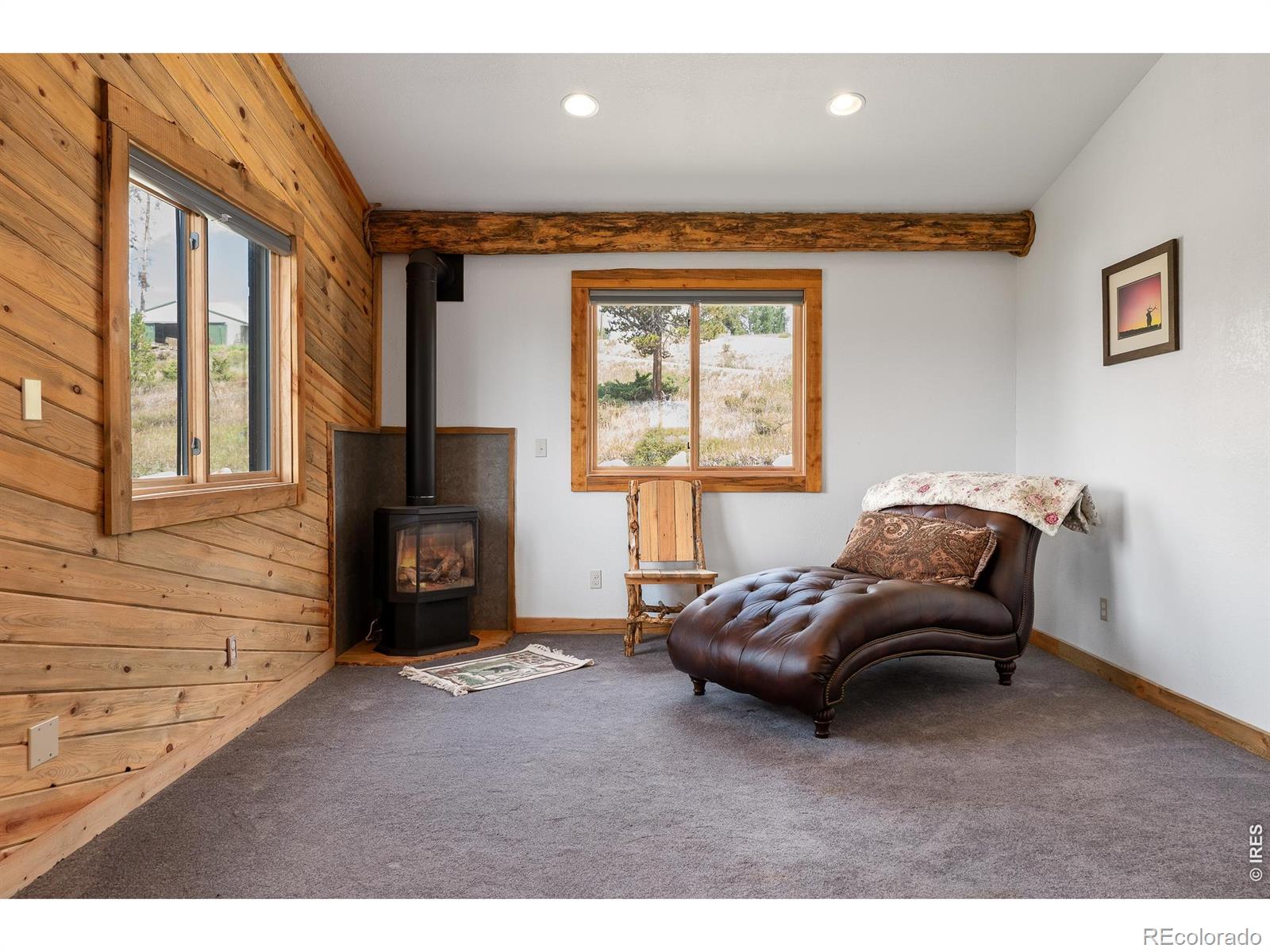 MLS Image #15 for 624  grand county road 4480 ,grand lake, Colorado