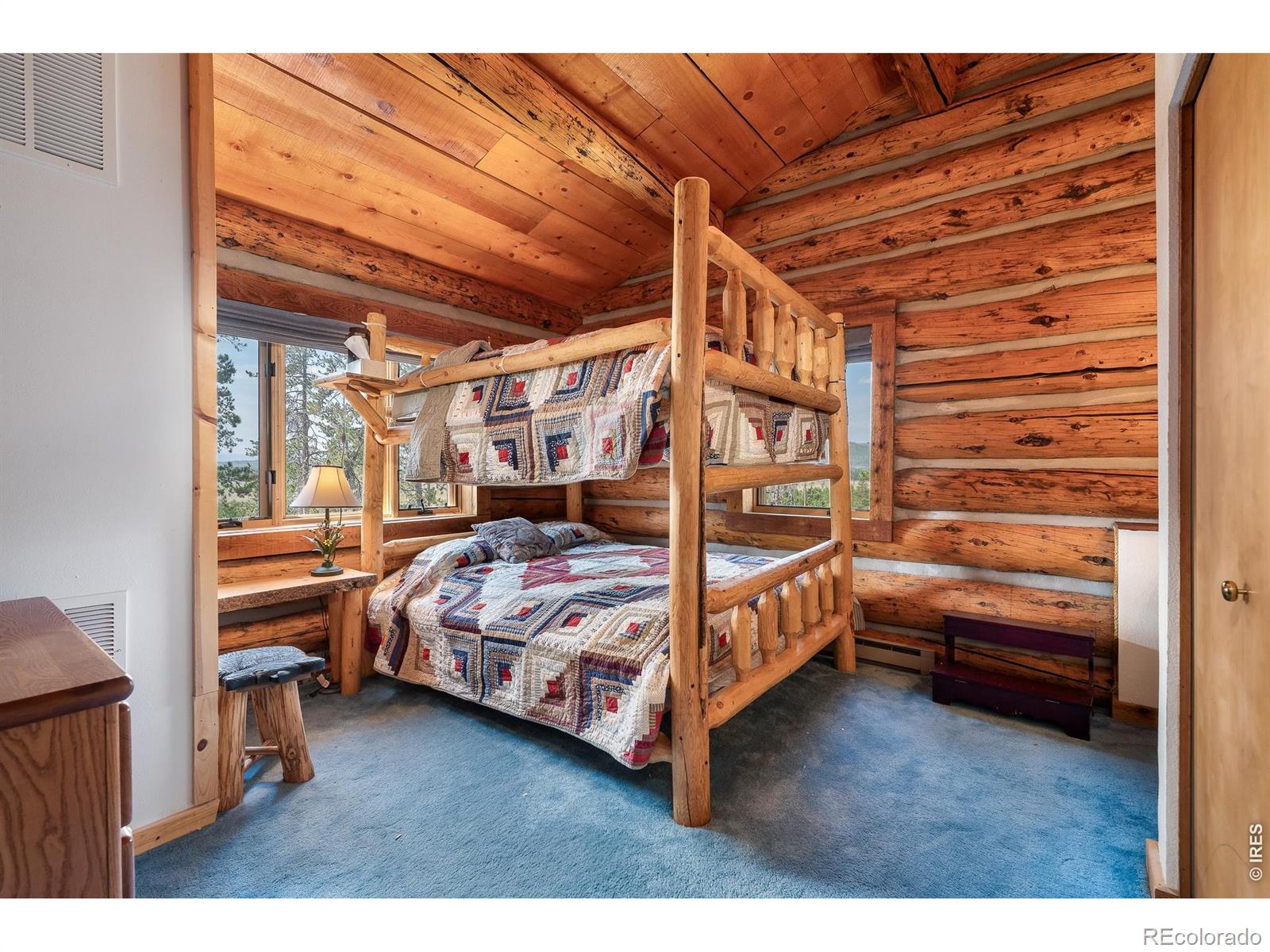 MLS Image #21 for 624  grand county road 4480 ,grand lake, Colorado