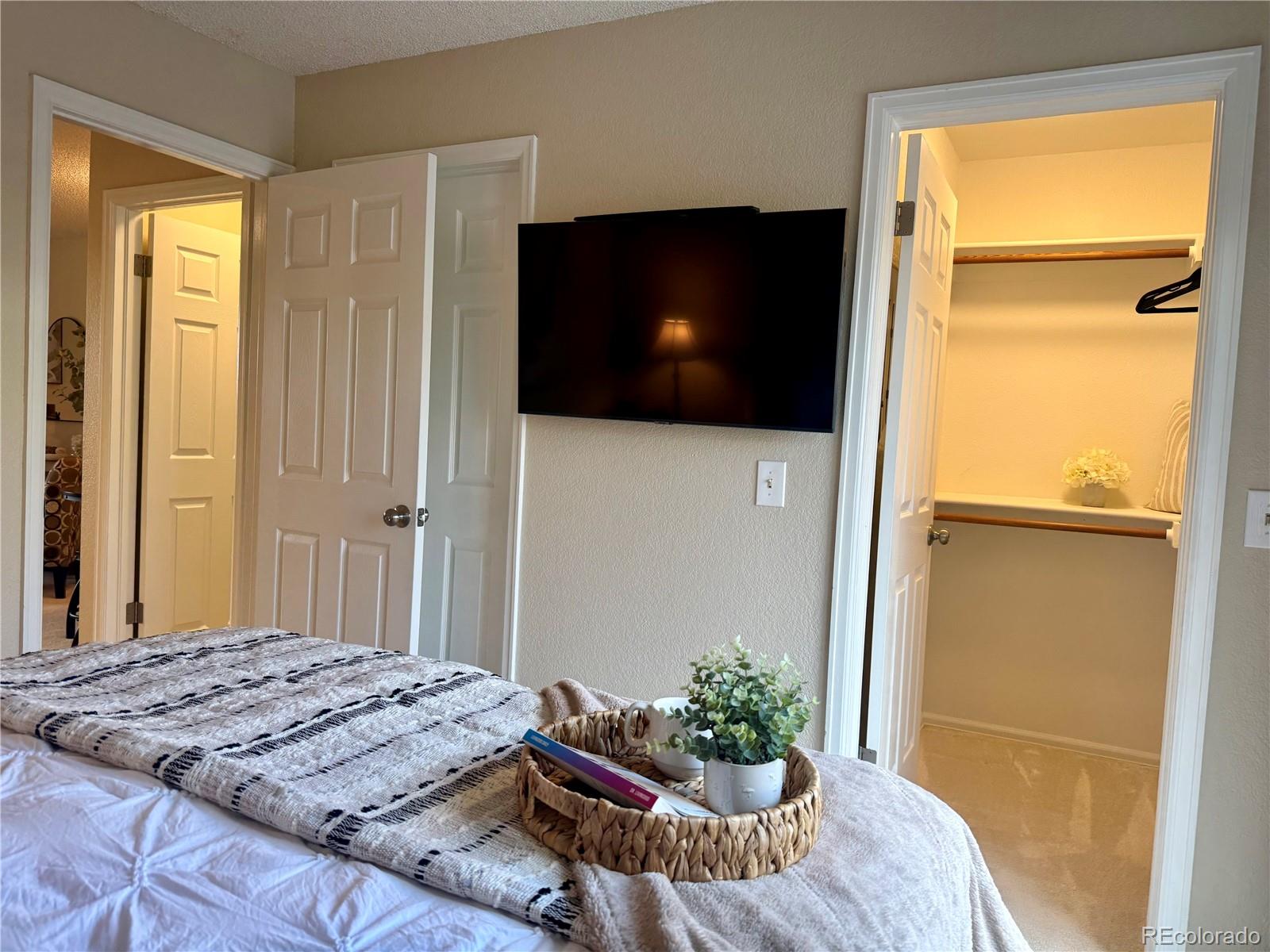 MLS Image #12 for 819  summer drive,highlands ranch, Colorado