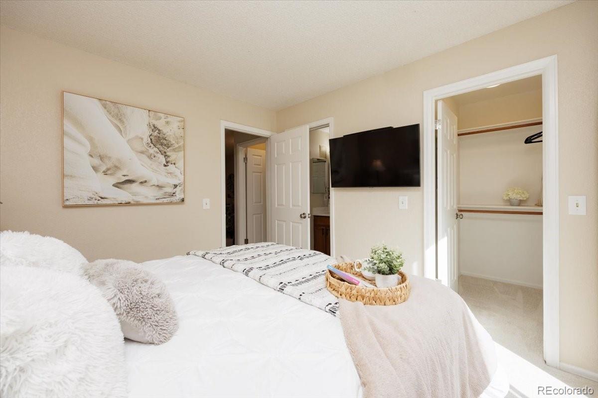 MLS Image #13 for 819  summer drive,highlands ranch, Colorado
