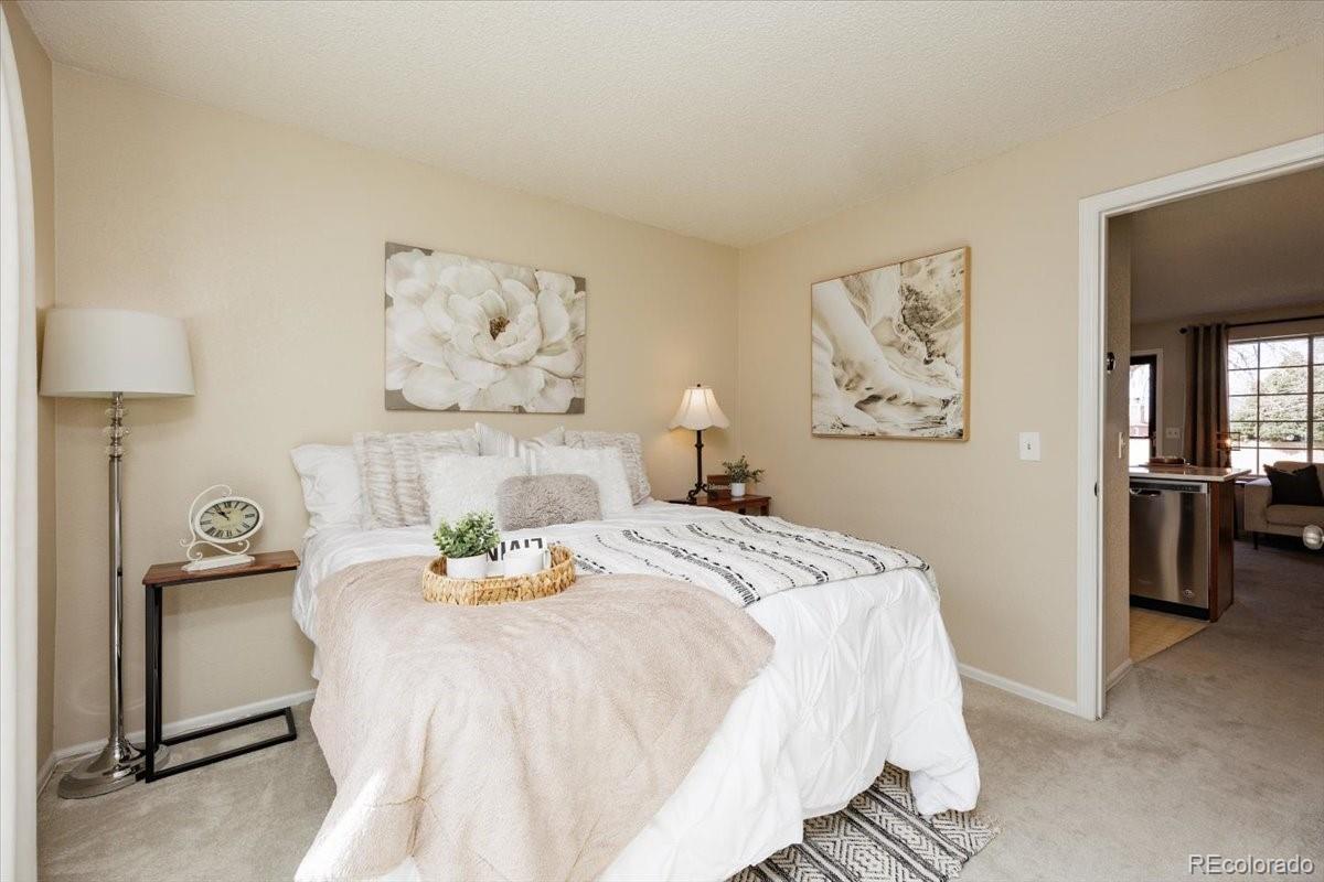 MLS Image #14 for 819  summer drive,highlands ranch, Colorado