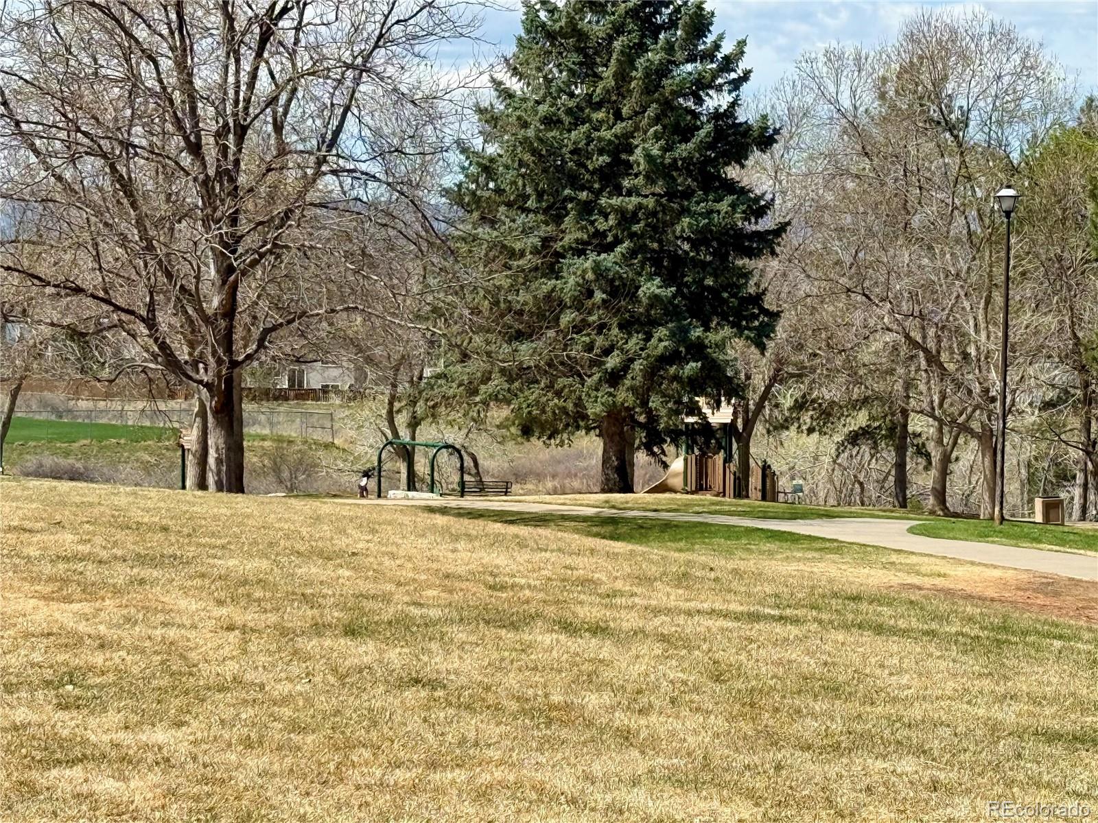 MLS Image #36 for 819  summer drive,highlands ranch, Colorado