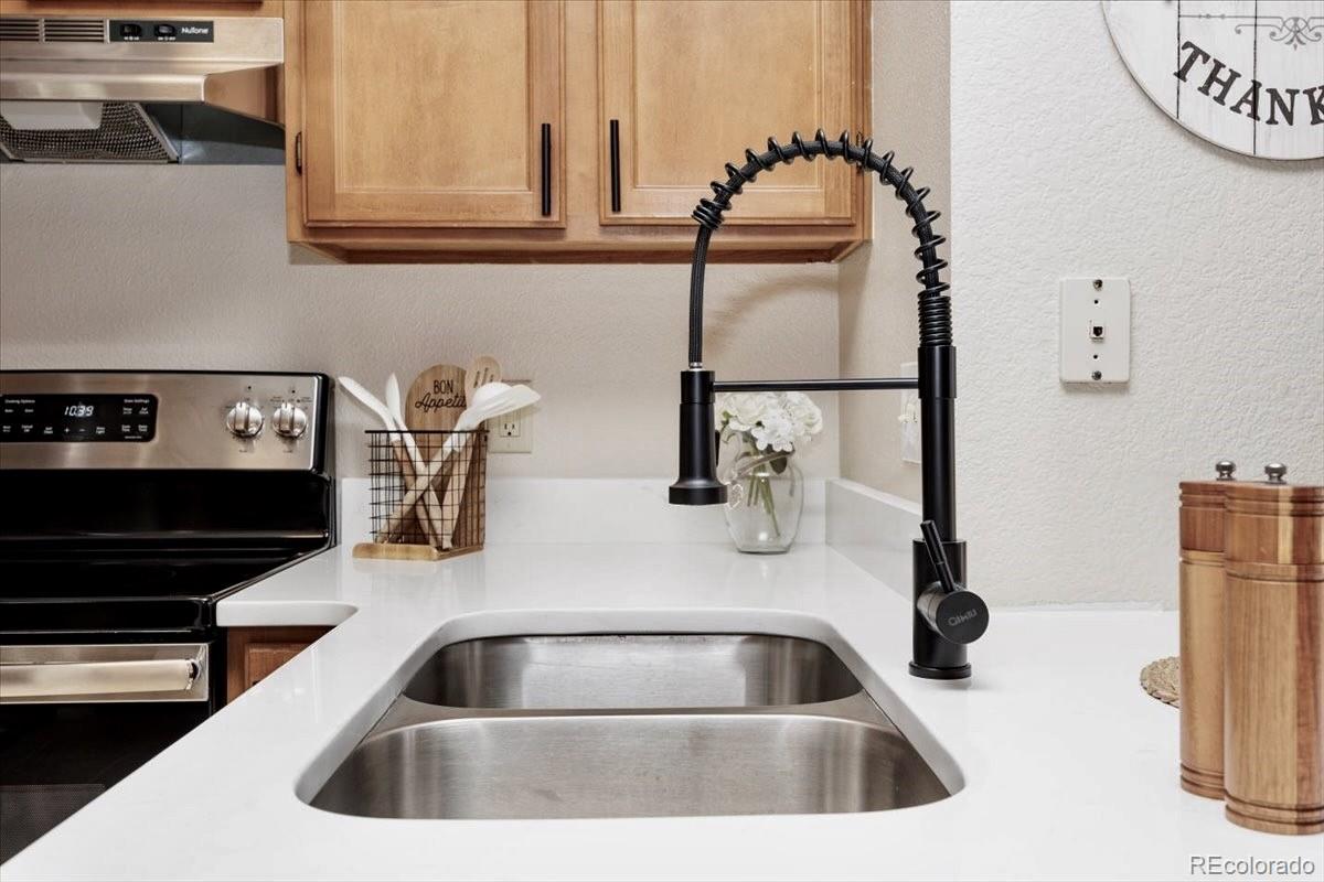 MLS Image #8 for 819  summer drive,highlands ranch, Colorado