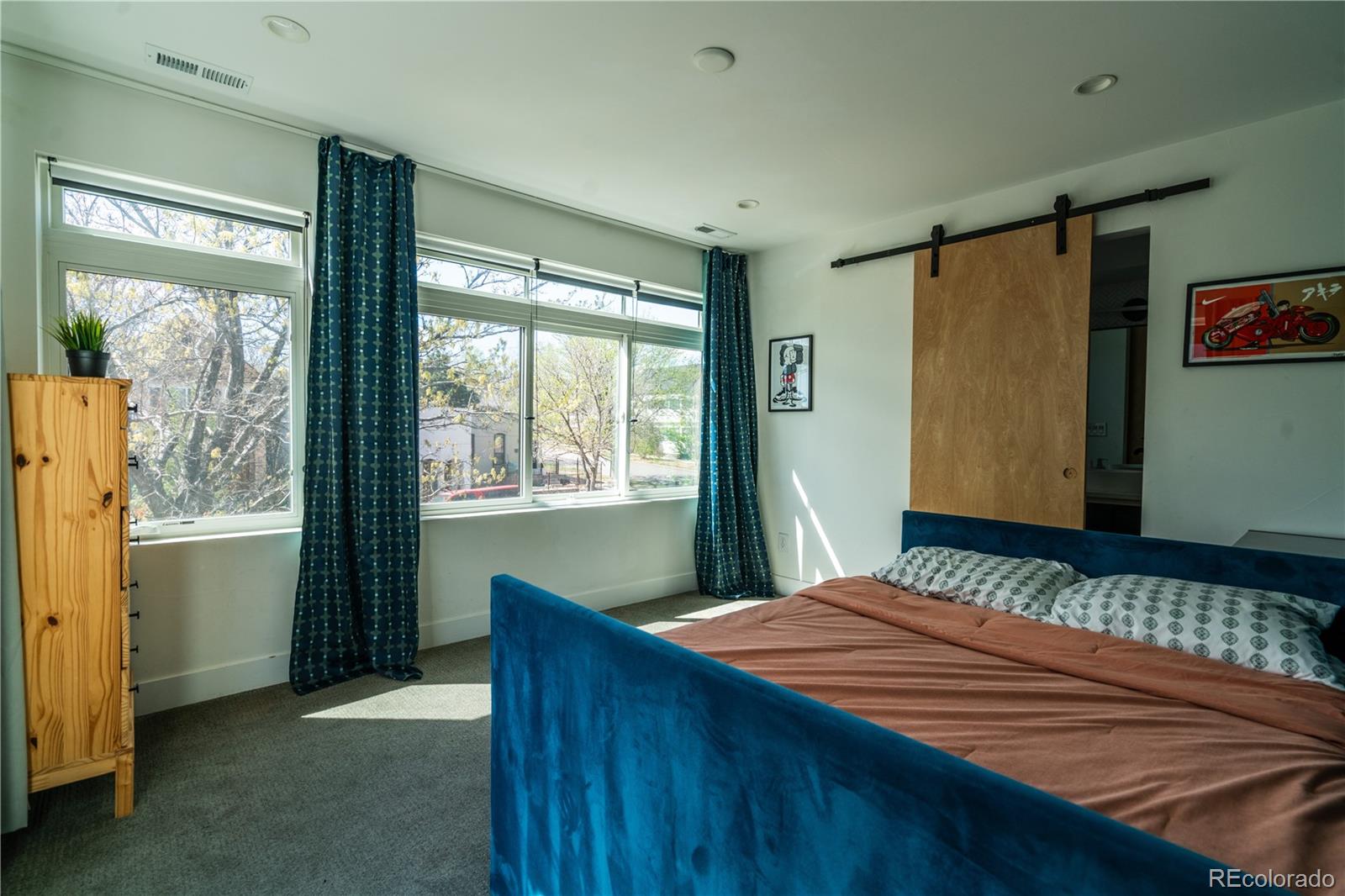 MLS Image #24 for 3548  lipan street,denver, Colorado