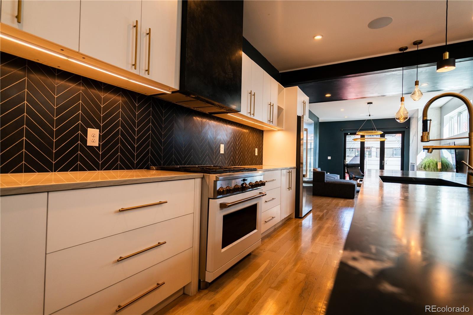 MLS Image #5 for 3548  lipan street,denver, Colorado