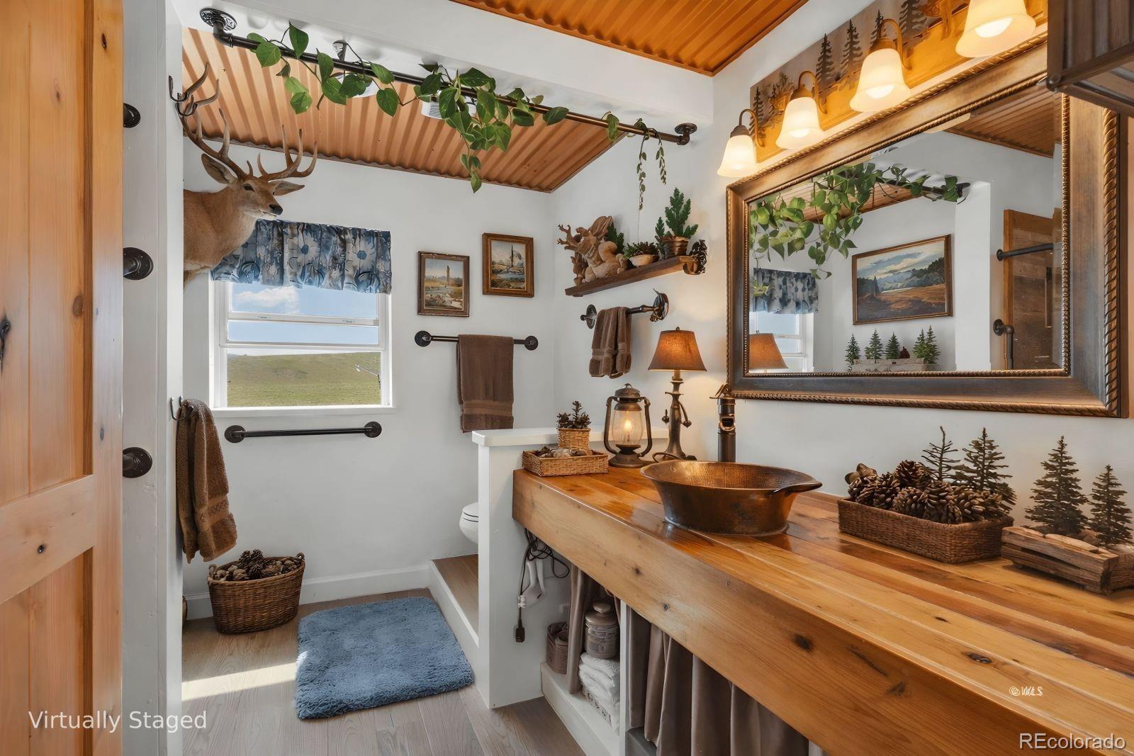 MLS Image #15 for 535  brittany road,westcliffe, Colorado