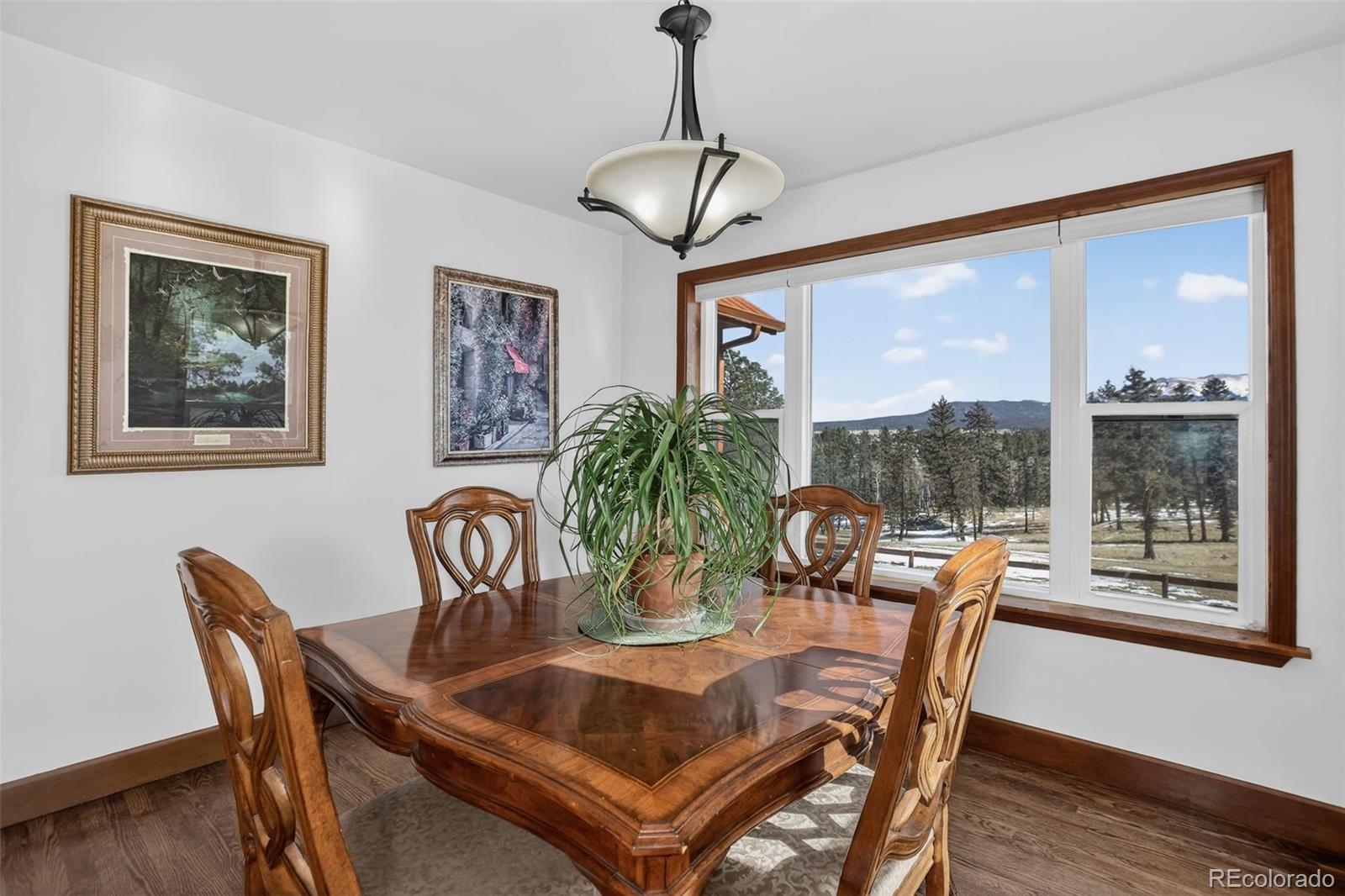 MLS Image #12 for 4797  county road 42 ,divide, Colorado