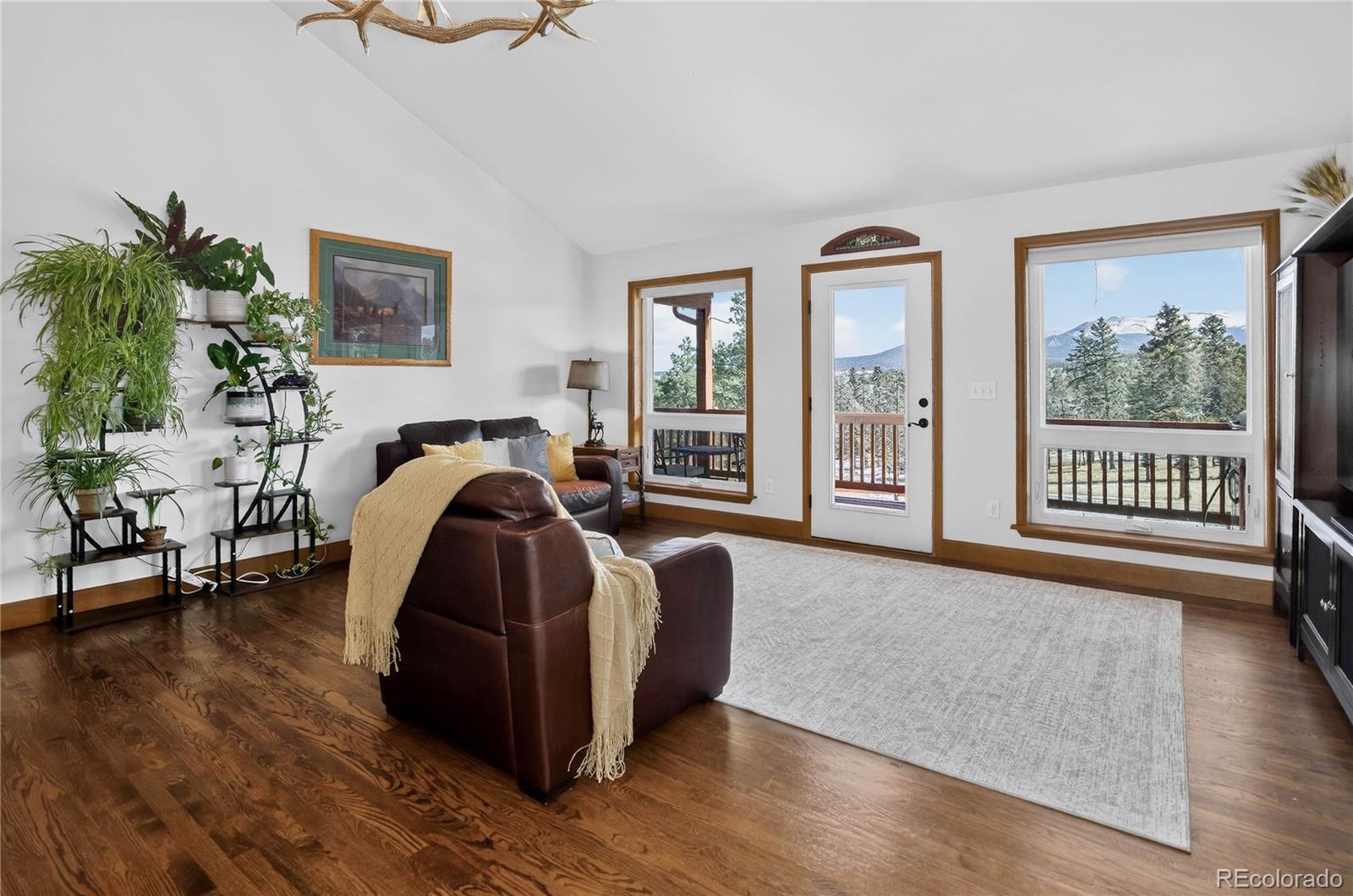 MLS Image #13 for 4797  county road 42 ,divide, Colorado