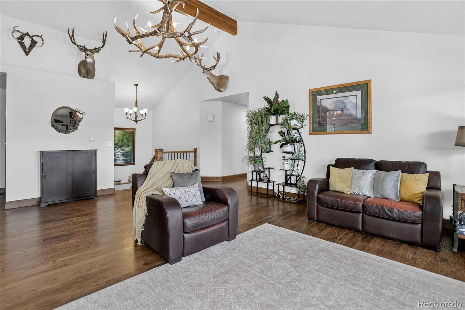 MLS Image #15 for 4797  county road 42 ,divide, Colorado