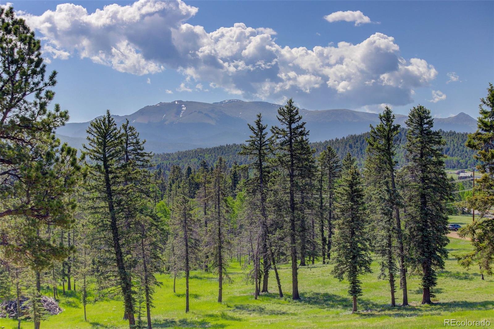MLS Image #2 for 4797  county road 42 ,divide, Colorado