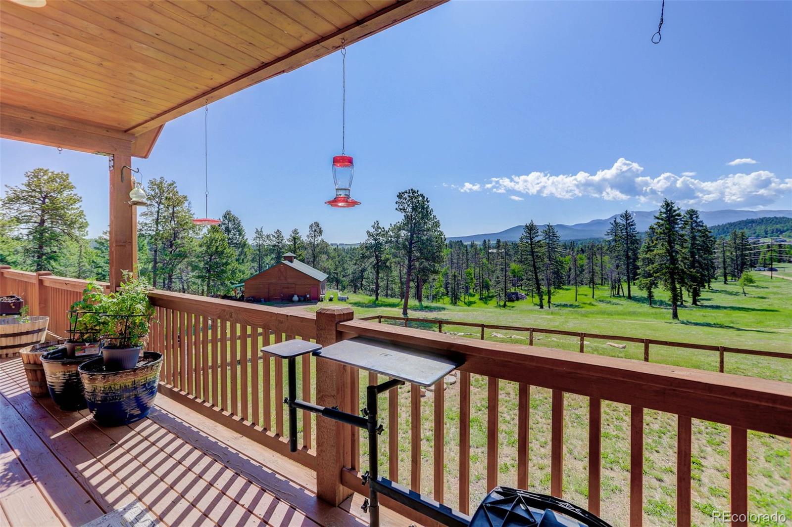 MLS Image #34 for 4797  county road 42 ,divide, Colorado