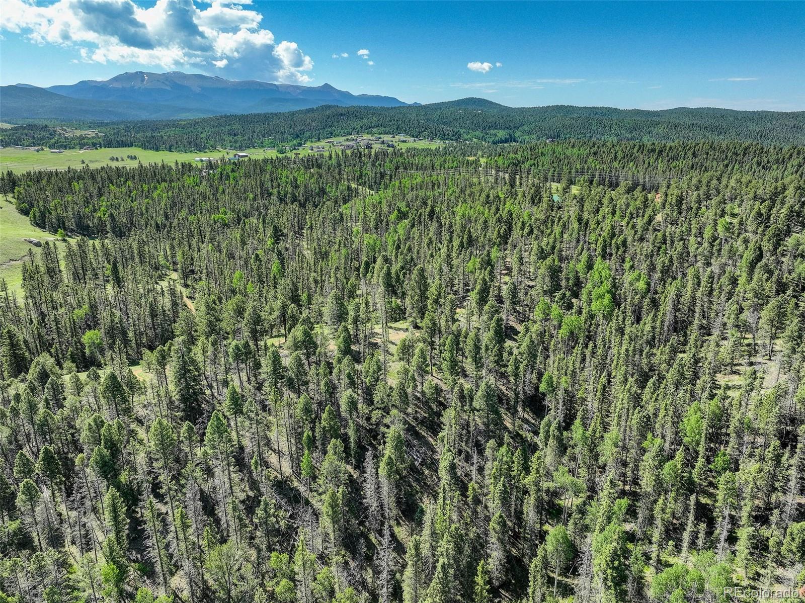 MLS Image #41 for 4797  county road 42 ,divide, Colorado