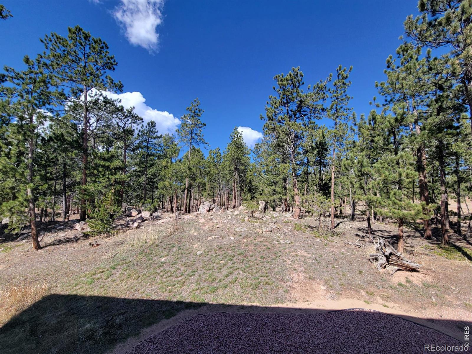 MLS Image #13 for 2225 n county road 73c ,red feather lakes, Colorado