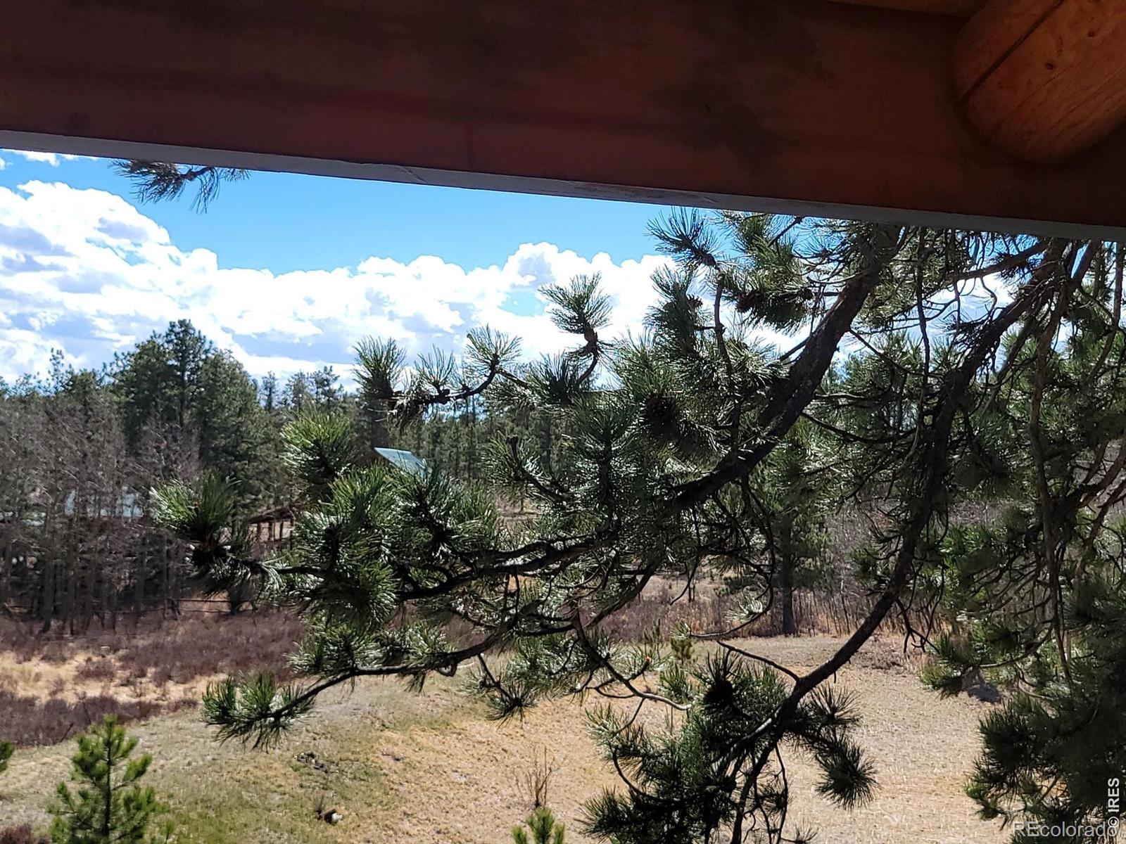 MLS Image #2 for 2225 n county road 73c ,red feather lakes, Colorado
