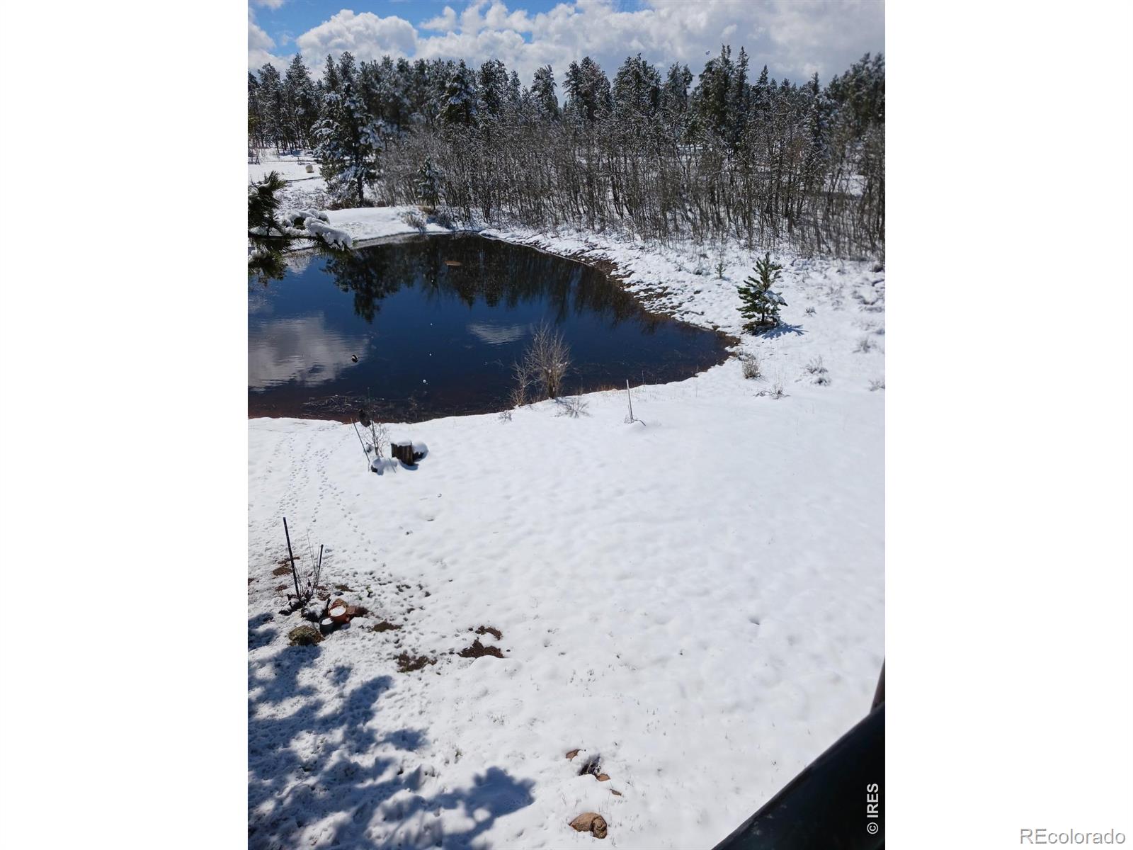 MLS Image #21 for 2225 n county road 73c ,red feather lakes, Colorado