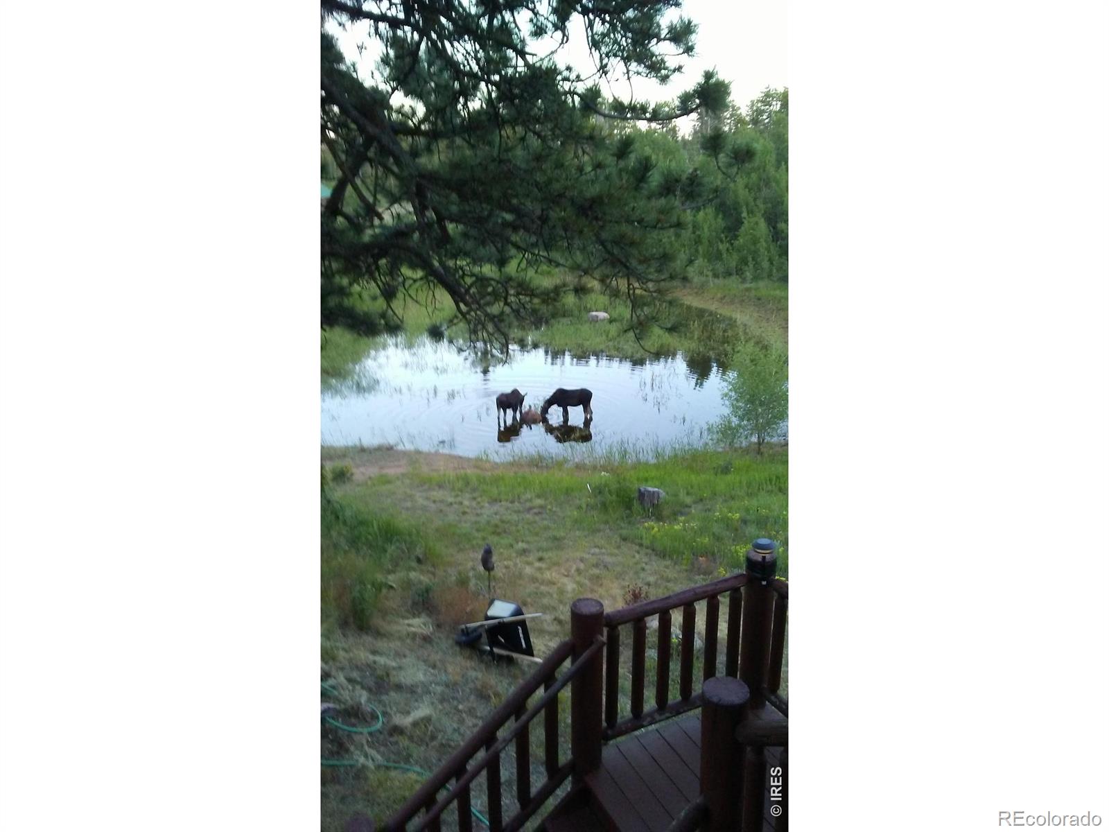 MLS Image #23 for 2225 n county road 73c ,red feather lakes, Colorado